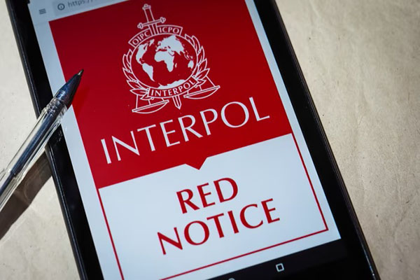BNPJ : Interpellation d'un Danois accusé d'homicide volontaire recherché par l'Interpol 