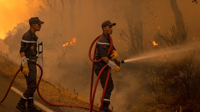 Incendies de forêts: risque « moyen » à « extrême » dans plusieurs provinces