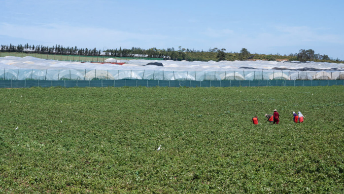 360 entreprises espagnoles délocalisent leurs activités au Maroc 360 entreprises espagnoles délocalisent leurs activités au Maroc