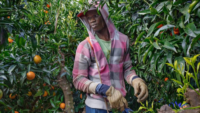 Espagne : 13 individus arrêtés pour leur implication dans le trafic de saisonniers Marocains Espagne : 13 individus arrêtés pour leur implication dans le trafic de saisonniers Marocains