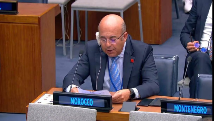 Gestion durable des forêts : les efforts du Maroc mis en avant à Brazzaville Gestion durable des forêts : les efforts du Maroc mis en avant à Brazzaville