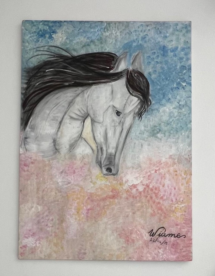 Transcender les troubles psychiques par l'art Transcender les troubles psychiques par l'art