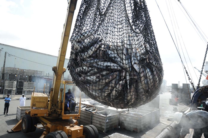 Projet de loi n°95.21 : Nouveau bouclier gouvernemental contre la pêche illicite ! [INTÉGRAL]