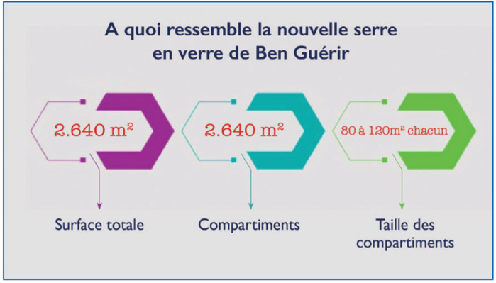 Recherche scientifique : Bientôt, une nouvelle serre en verre au Maroc Recherche scientifique : Bientôt, une nouvelle serre en verre au Maroc