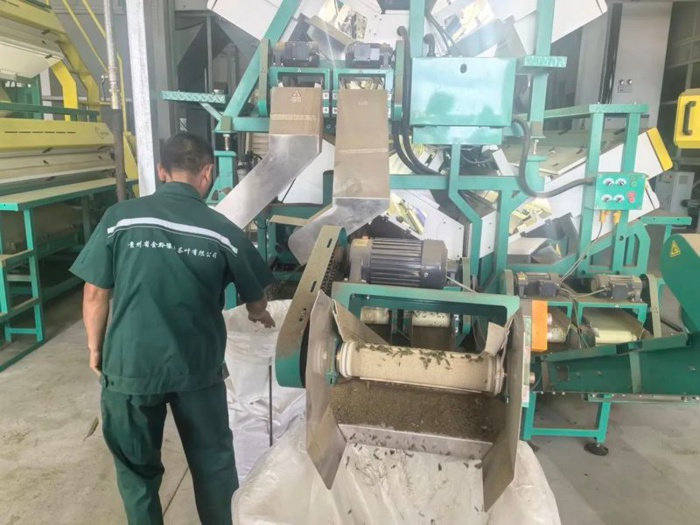 Un producteur de thé chinois vise le Maroc pour exporter vers l'Europe et l'Afrique Un producteur de thé chinois vise le Maroc pour exporter vers l'Europe et l'Afrique