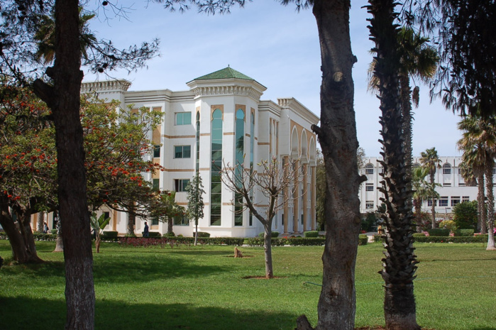 FSJES d'Ain Chock : Une première promotion anglophone en Économie célèbre sa réussite FSJES d'Ain Chock : Une première promotion anglophone en Économie célèbre sa réussite