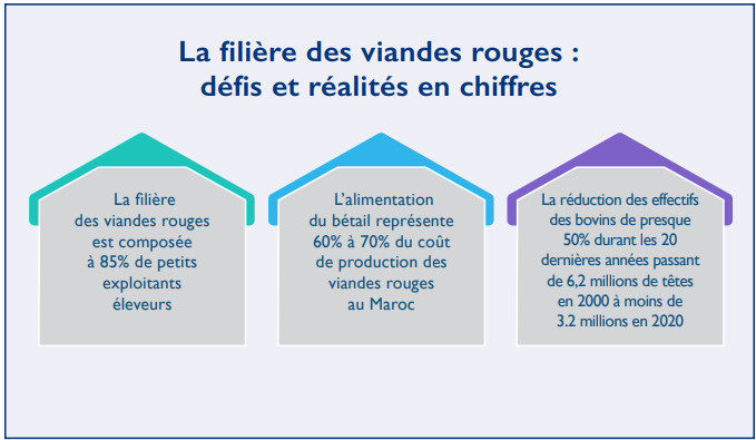 Viandes rouges : 30 mesures des Ingénieurs Istiqlaliens pour sauver le secteur [INTÉGRAL]