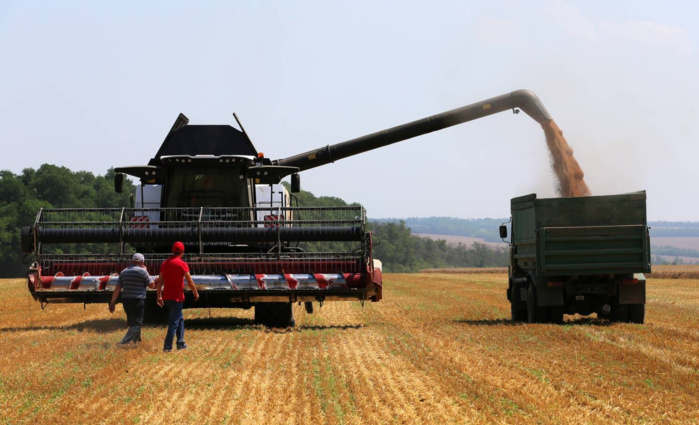Importations : Le Maroc tire profit de la baisse mondiale des prix du blé Importations : Le Maroc tire profit de la baisse mondiale des prix du blé