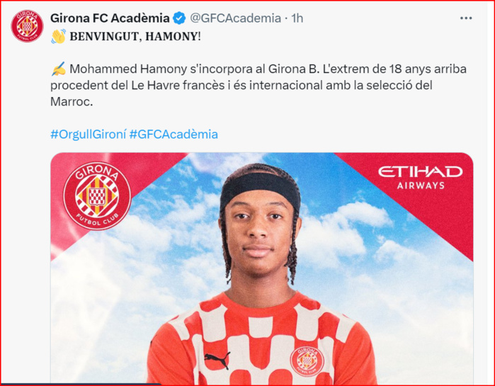 Transfert : Un Lionceau de l’Atlas chez les Catalans ! Transfert : Un Lionceau de l’Atlas chez les Catalans !