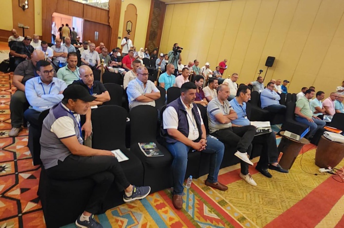 DHJ/Football Le retour à l'élite, avec un excédent de près de 4 millions de dirhams DHJ/Football Le retour à l'élite, avec un excédent de près de 4 millions de dirhams