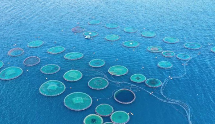 Économie Bleue : Secteur à fort potentiel, où l’essentiel reste à faire ! Économie Bleue : Secteur à fort potentiel, où l’essentiel reste à faire !