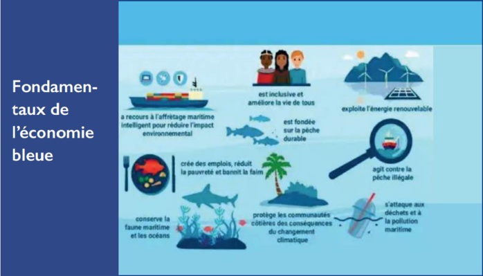 Économie Bleue : Secteur à fort potentiel, où l’essentiel reste à faire ! [INTÉGRAL]