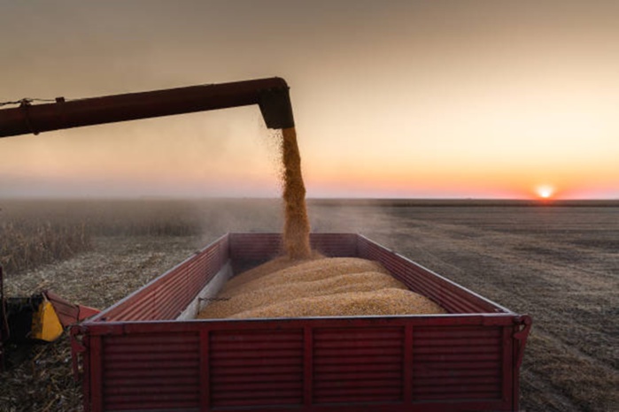 Engrais : le rival américain de l'OCP ralentit son offensive commerciale sur les droits compensateurs Engrais : le rival américain de l'OCP ralentit son offensive commerciale sur les droits compensateurs