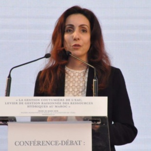Citée dans le bidbook parmi les entités qui ont collaboré avec la candidature sur le volet environnement, l’ONG marocaine Living Planet Morocco (LPM) répond à nos questions à travers sa présidente Yousra Madani. Citée dans le bidbook parmi les entités qui ont collaboré avec la candidature sur le volet environnement, l’ONG marocaine Living Planet Morocco (LPM) répond à nos questions à travers sa présidente Yousra Madani.