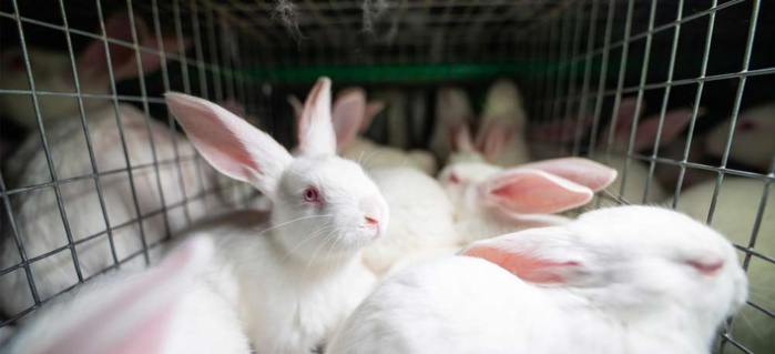 Photo: tous droits réservés. Photo: tous droits réservés.