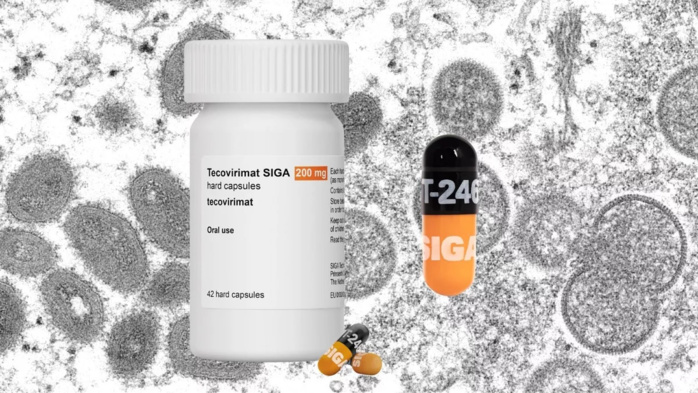 Mpox : Siga Technologies fournira le traitement de la variole au Maroc Mpox : Siga Technologies fournira le traitement de la variole au Maroc