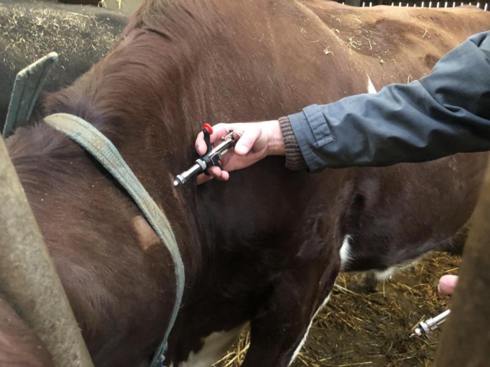La Russie vient d'expédier vers le Maroc 8500 doses de tuberculine La Russie vient d'expédier vers le Maroc 8500 doses de tuberculine