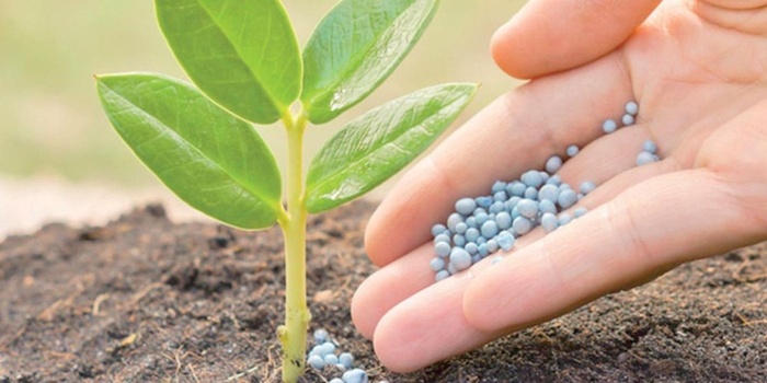 Exportation d'engrais du Maroc : sous l'effet de la concurrence, la part du Maroc sur le marché brésilien en chute Exportation d'engrais du Maroc : sous l'effet de la concurrence, la part du Maroc sur le marché brésilien en chute