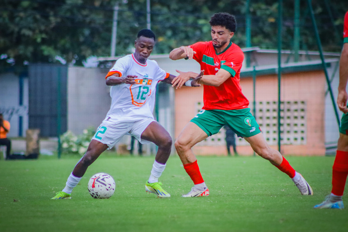 Préparation. CHAN 24: Les Lions et les éléphants dos à dos Préparation. CHAN 24: Les Lions et les éléphants dos à dos