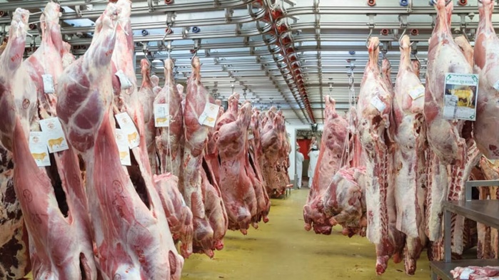 Viandes rouges: Le quota exempt des droits d’importation fixé à 150.000 têtes Viandes rouges: Le quota exempt des droits d’importation fixé à 150.000 têtes