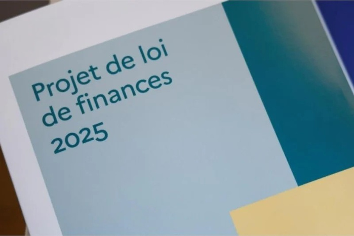 Le ministère de l'Économie et des finances publie le Budget citoyen du PLF-2025 Le ministère de l'Économie et des finances publie le Budget citoyen du PLF-2025