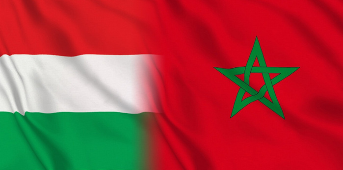 La coopération hydrique au coeur d'une rencontre entre Nizar Baraka et le Chef de la diplomatie hongroise La coopération hydrique au coeur d'une rencontre entre Nizar Baraka et le Chef de la diplomatie hongroise