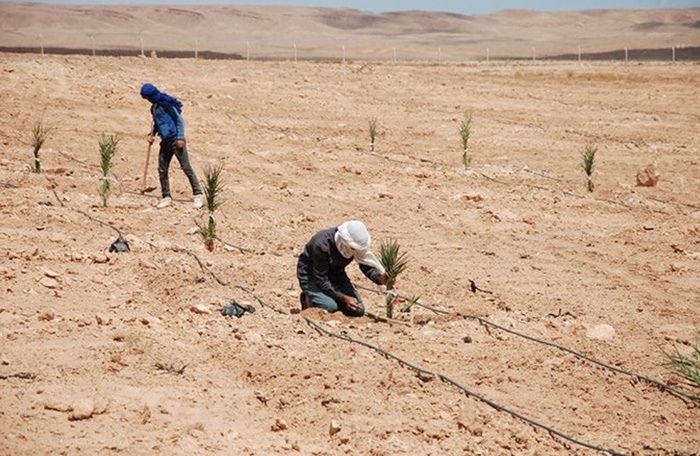 Crédit photo: tous droits réservés. Crédit photo: tous droits réservés.