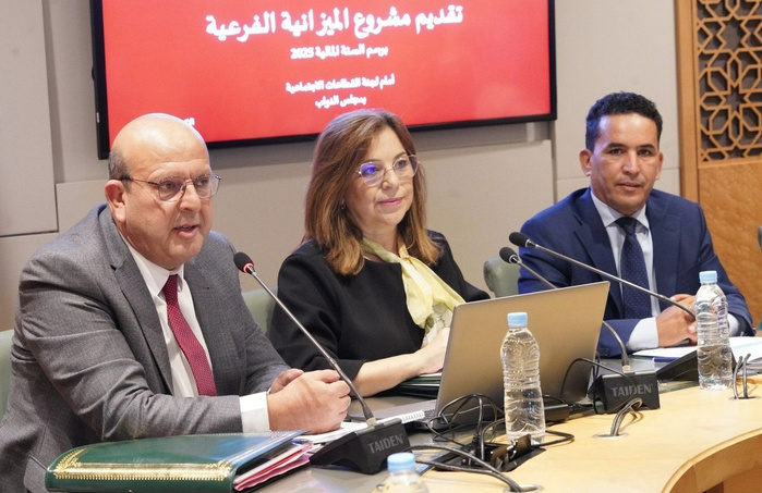 Carte handicap : Naima Ben Yahya dévoile l'état d'avancement du projet Carte handicap : Naima Ben Yahya dévoile l'état d'avancement du projet