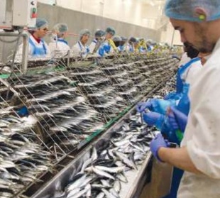 Interview avec Hassan Sentissi El Idrissi : «Nous avons un trésor dans nos océans, et il est de notre devoir de le valoriser avec intelligence et responsabilité» Interview avec Hassan Sentissi El Idrissi : «Nous avons un trésor dans nos océans, et il est de notre devoir de le valoriser avec intelligence et responsabilité»