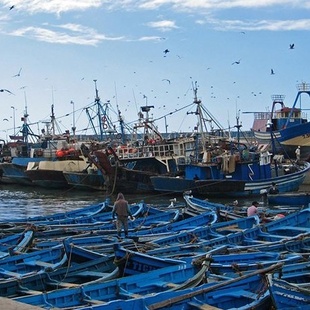 Gestion durable des ressources halieutiques : Le Maroc, une voie à explorer en Afrique Gestion durable des ressources halieutiques : Le Maroc, une voie à explorer en Afrique