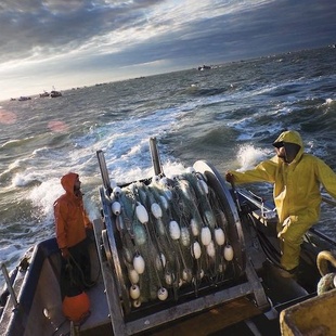 Gestion durable des ressources halieutiques : Le Maroc, une voie à explorer en Afrique Gestion durable des ressources halieutiques : Le Maroc, une voie à explorer en Afrique