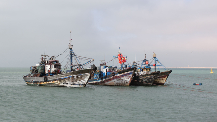 Quelle pêche pour demain entre durabilité et compétitivité ? Quelle pêche pour demain entre durabilité et compétitivité ?