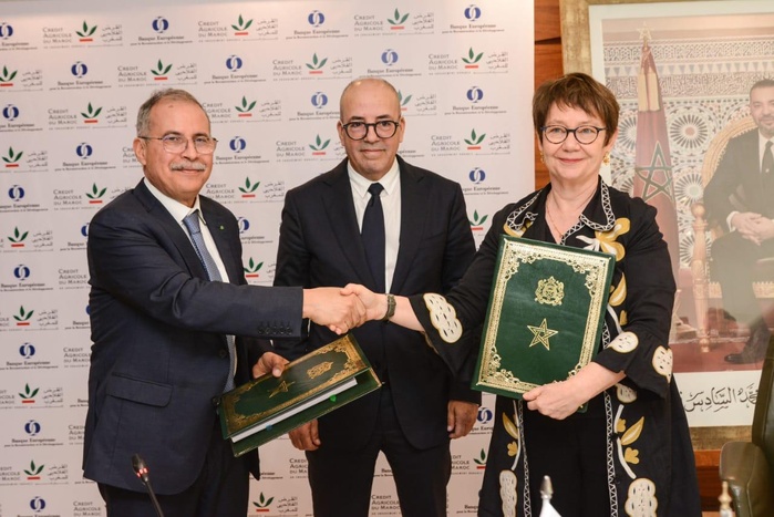 Photo: tous droits réservés. Photo: tous droits réservés.