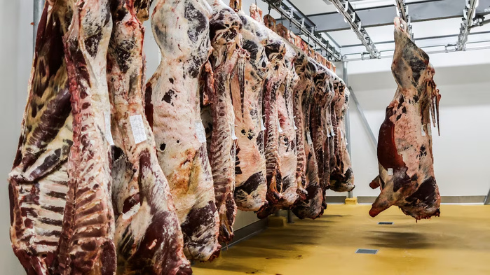 Importation de la viande ovine : l'Argentine est desormais autorisée à exporter vers le Maroc Importation de la viande ovine : l'Argentine est desormais autorisée à exporter vers le Maroc
