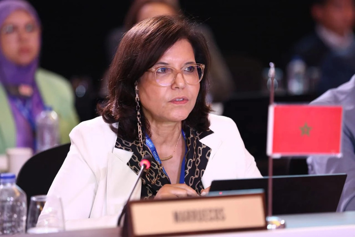 Accord BBNJ : une avancée majeure pour la préservation et l'exploitation durable des ressources marines, selon Driouich Accord BBNJ : une avancée majeure pour la préservation et l'exploitation durable des ressources marines, selon Driouich