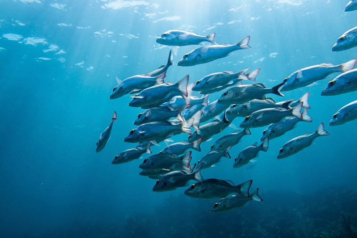 Photo: Tous droits réservés. Photo: Tous droits réservés.