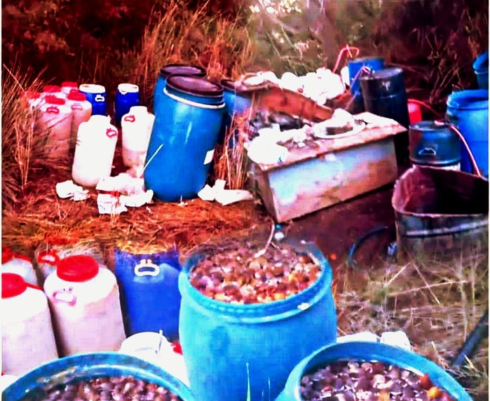 El Jadida : Saisie par la gendarmerie de 420 litres d’eau-de-vie illicite et 1 260 kilogrammes de figues fermentées El Jadida : Saisie par la gendarmerie de 420 litres d’eau-de-vie illicite et 1 260 kilogrammes de figues fermentées