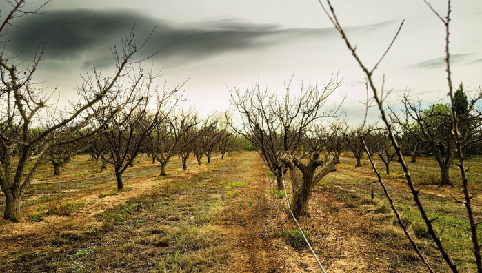 2024, année la plus chaude, dépasse le seuil de 1,5°C, confirme l'ONU 2024, année la plus chaude, dépasse le seuil de 1,5°C, confirme l'ONU