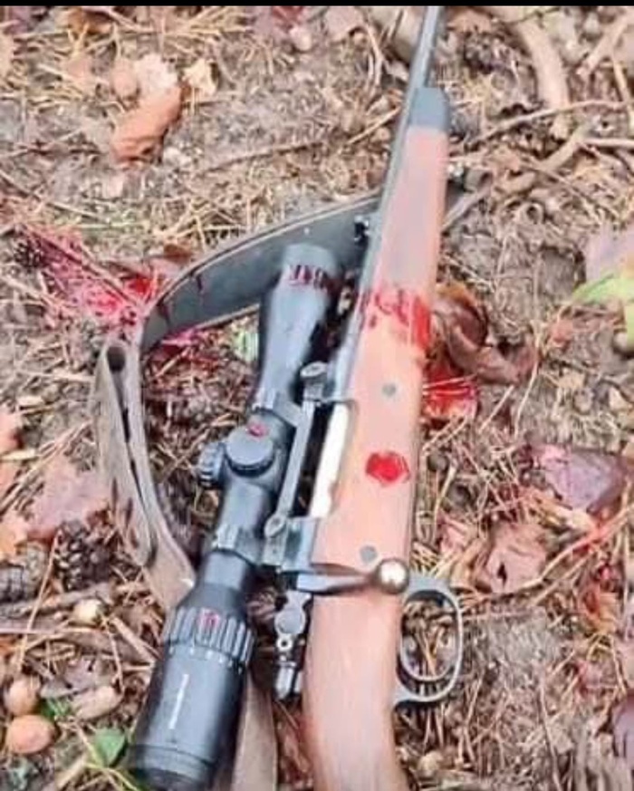 Photo: tous droits réservés. Photo: tous droits réservés.