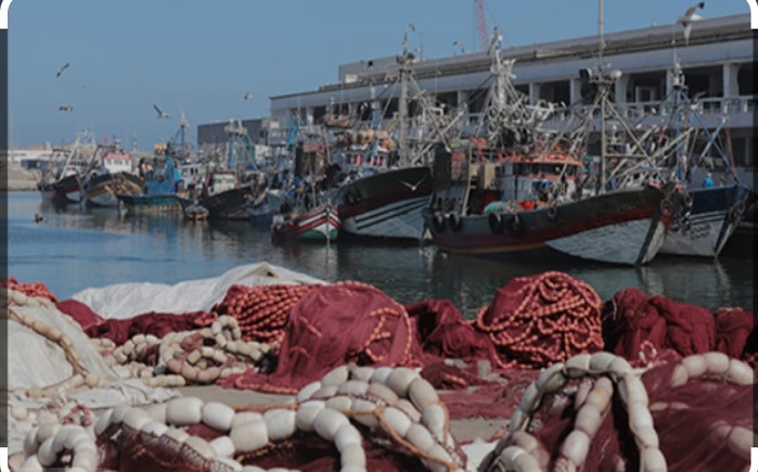 Photo: tous droits réservés. Photo: tous droits réservés.