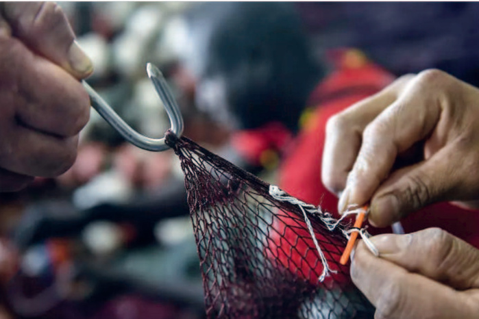 Maroc - UE : Verdict de la CJUE, une chance pour la Chine et la Russie ? Maroc - UE : Verdict de la CJUE, une chance pour la Chine et la Russie ?