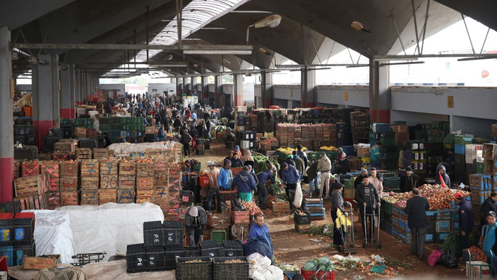 Marché de Gros de Casablanca : 1,6 million de tonnes et 177 MDH de recettes en 2024 Marché de Gros de Casablanca : 1,6 million de tonnes et 177 MDH de recettes en 2024