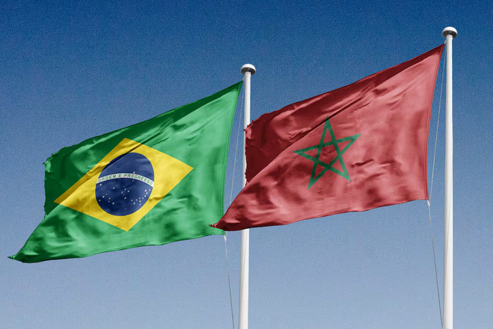 Maroc-Brésil : 2,77 milliards de dollars d’échanges commerciaux en 2024 Maroc-Brésil : 2,77 milliards de dollars d’échanges commerciaux en 2024