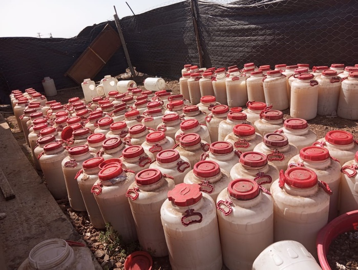 Jorf Lasfar : Démantèlement d'un dépôt clandestin de carburant volé à Jorf Lasfar Jorf Lasfar : Démantèlement d'un dépôt clandestin de carburant volé à Jorf Lasfar