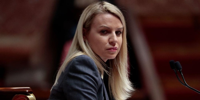 La députée du RN, Hélène Laporte, élue à la tête du groupe d'amitié France-Maroc La députée du RN, Hélène Laporte, élue à la tête du groupe d'amitié France-Maroc