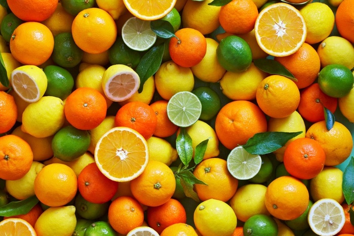 USDA: Le Maroc consolide sa position parmi les grands exportateurs d’agrumes USDA: Le Maroc consolide sa position parmi les grands exportateurs d’agrumes