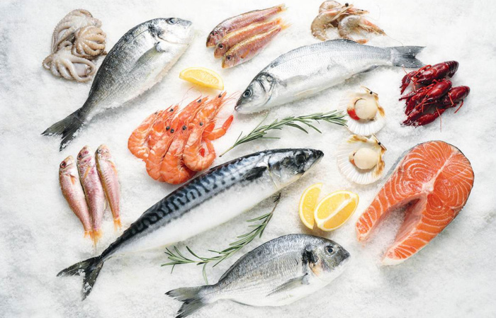 Congélation des produits de la mer : Renouveau d’un pilier de l’économie bleue Congélation des produits de la mer : Renouveau d’un pilier de l’économie bleue