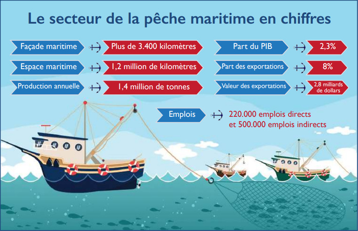 Pêche maritime : Un secteur stratégique en pleine mutation Pêche maritime : Un secteur stratégique en pleine mutation