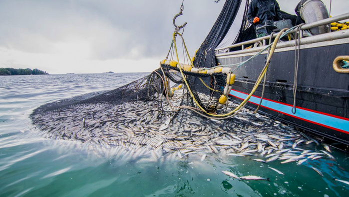 Pêche maritime : La sécheresse affecte-t-elle vraiment nos océans ? Pêche maritime : La sécheresse affecte-t-elle vraiment nos océans ?