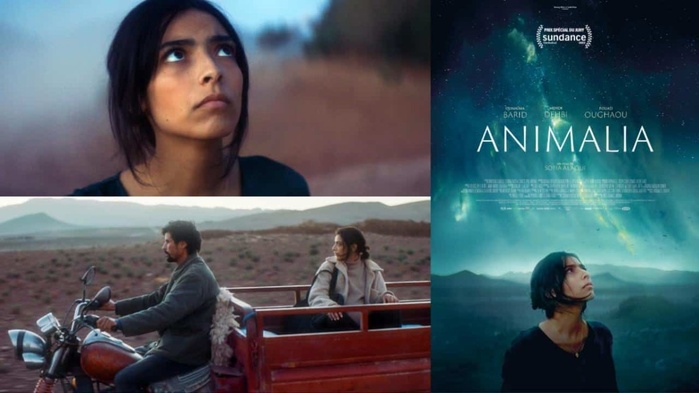 Cinéma : Trois films marocains au DIFF Cinéma : Trois films marocains au DIFF
